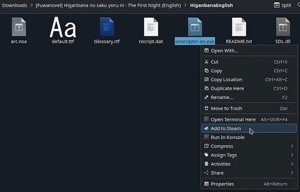 How to add the game to Steam